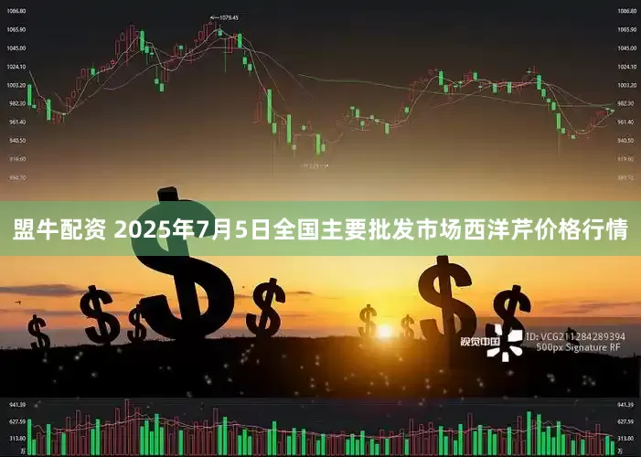 盟牛配资 2025年7月5日全国主要批发市场西洋芹价格行情