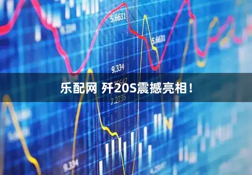 乐配网 歼20S震撼亮相！