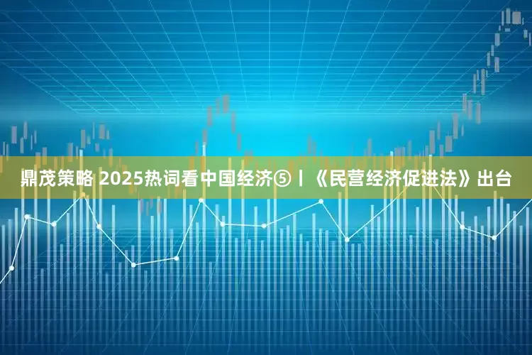 鼎茂策略 2025热词看中国经济⑤丨《民营经济促进法》出台
